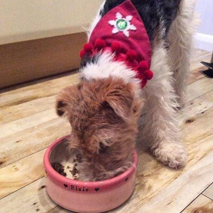 Dog wearing a festive hat eating from a pink bowl on a wooden floor.