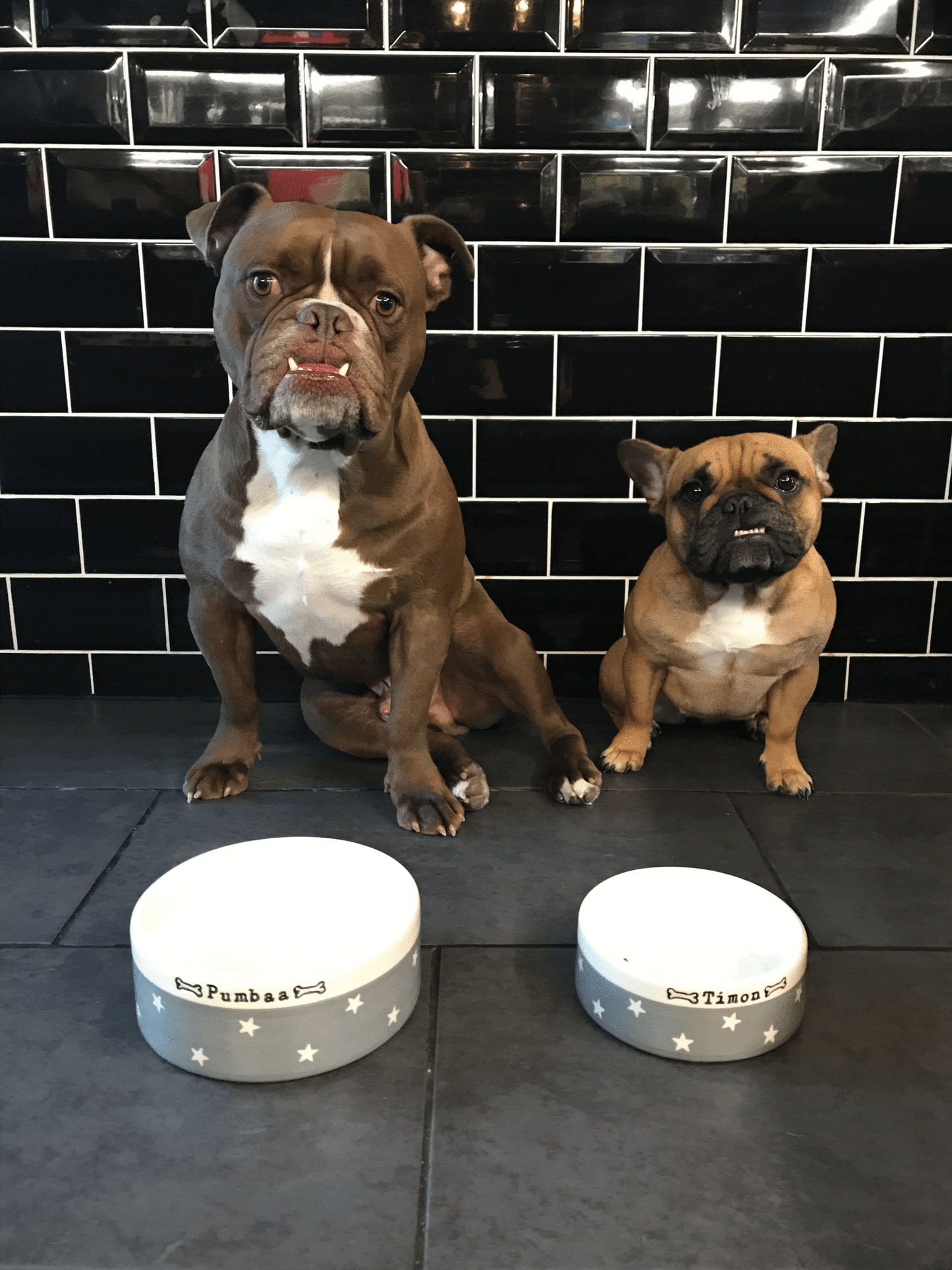 Handmade Personalised Ceramic Medium Dog Bowls