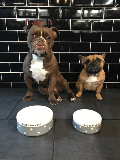 Handmade Personalised Ceramic Medium Dog Bowls