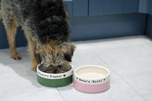 Dog drinking from a personalized ceramic bowl on a tiled floor.