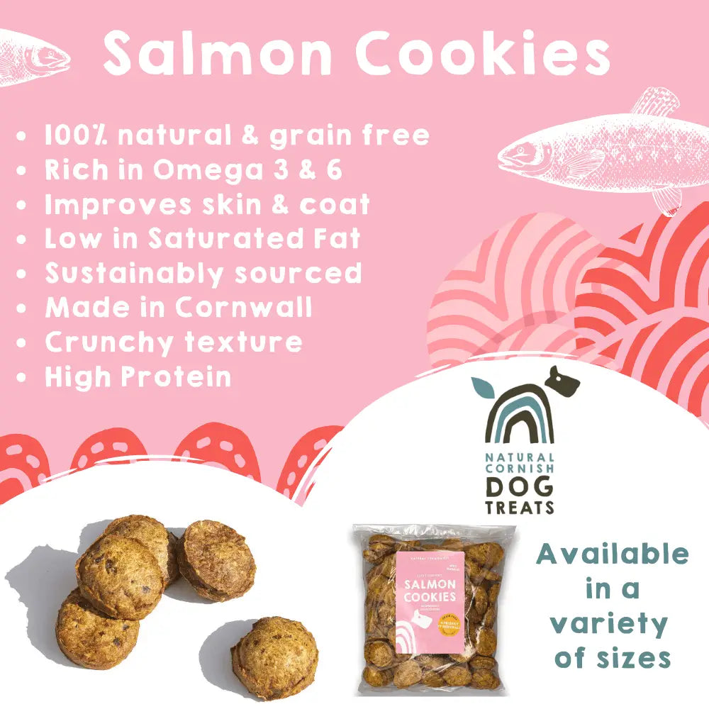 Salmon cookies for dogs with product details on a pink background, featuring the Natural Cornish Dog Treats brand.