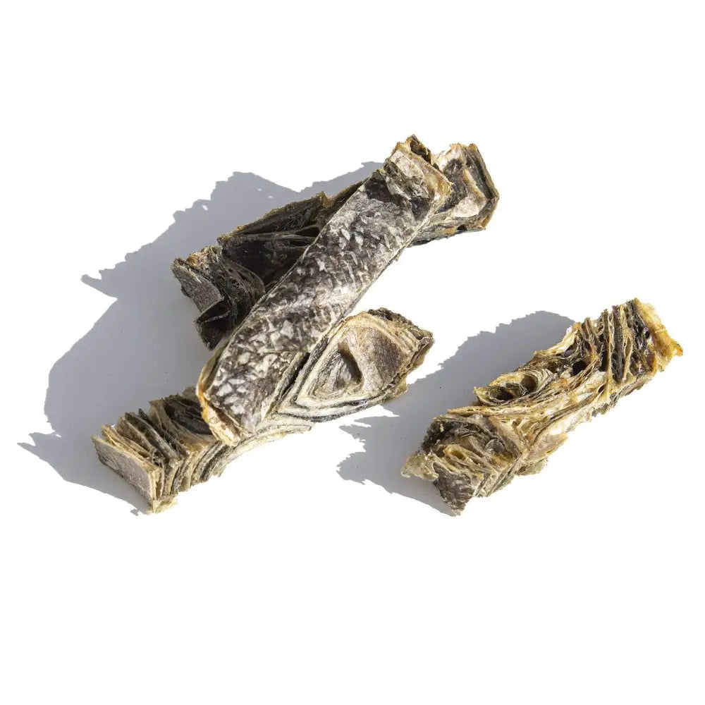 Two dried fish bones on a white background