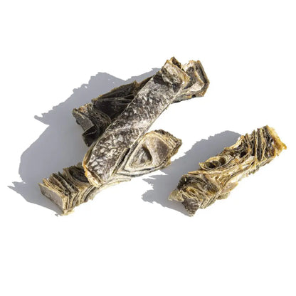 Two dried fish bones on a white background
