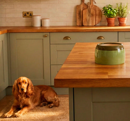 Dog sitting on a kitchen floor next to a wooden counter with a green bowl.