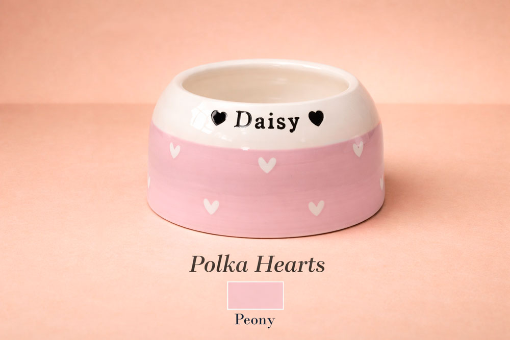 Pink pet bowl with white hearts and 'Daisy' written on a pink background