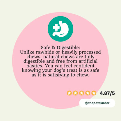 Pink speech bubble with text about safe and digestible dog treats, featuring a green icon of a stomach with a plus sign.