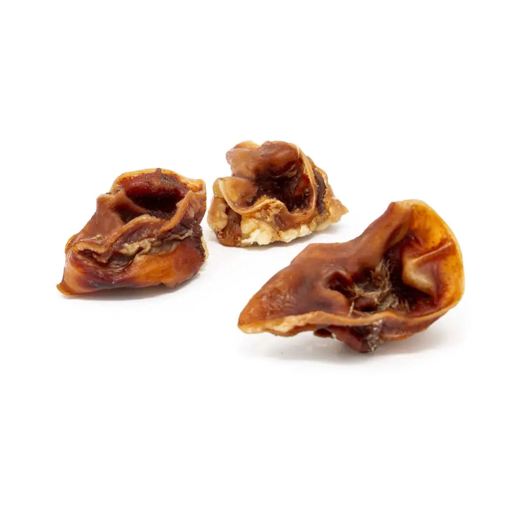 Three dried dates on a white background