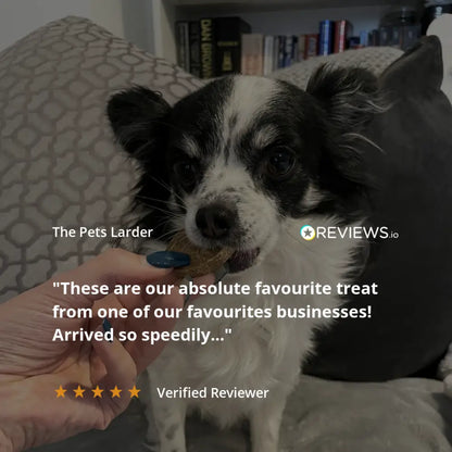 Dog being offered a treat with text overlay from The Pets Larder and REVIEWS.io