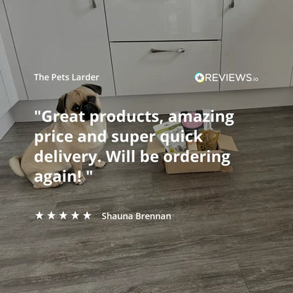 Dog sitting next to a box with a review text overlay on a wooden floor.