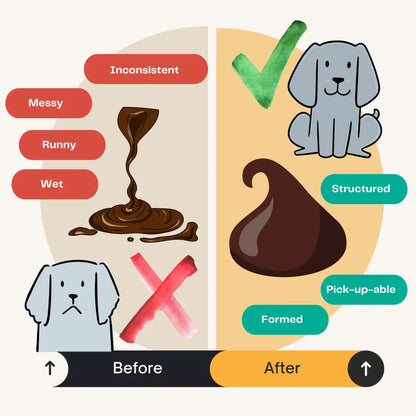 Diagram showing the difference between inconsistent and structured poop with a dog illustration.