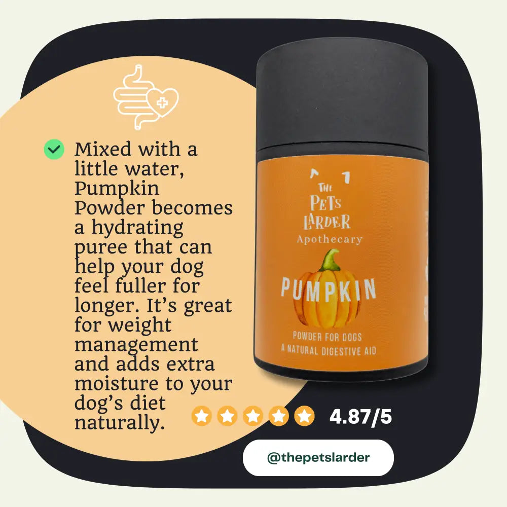 Pumpkin powder container with text about its benefits for dogs on a beige background