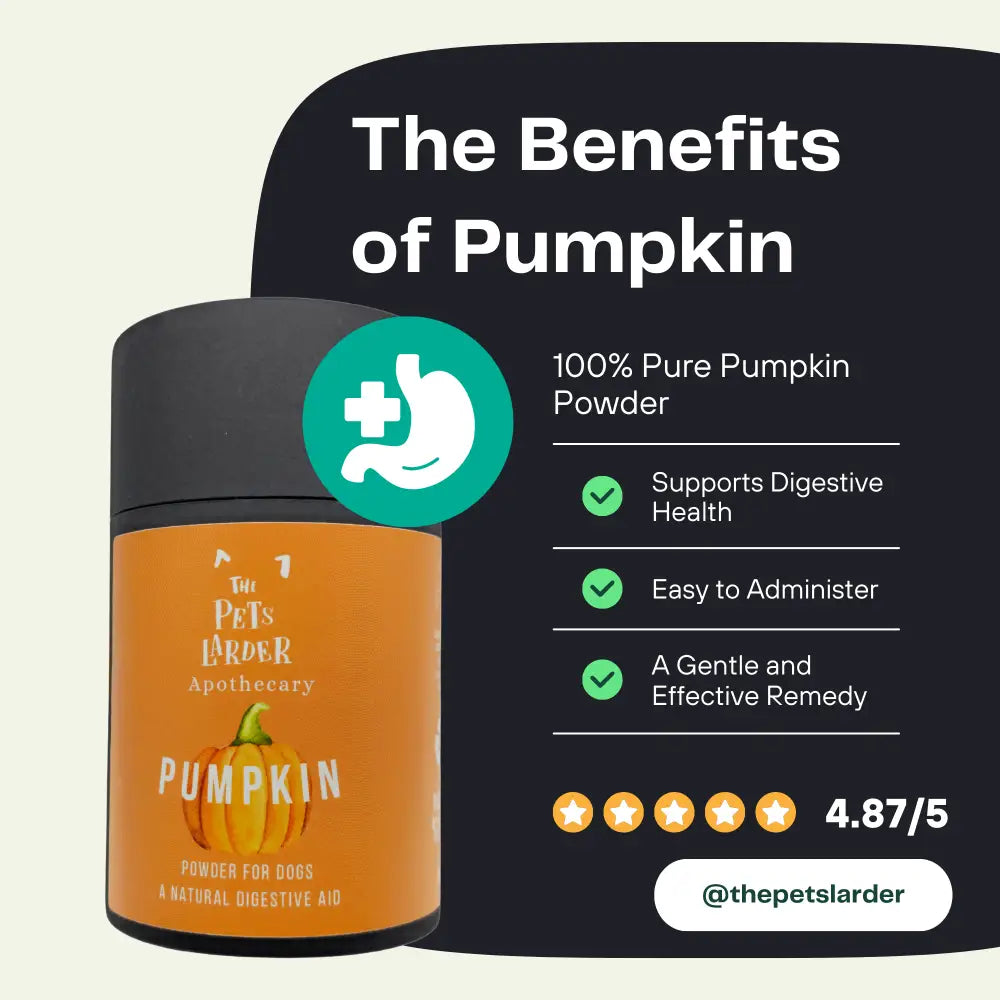 Pumpkin powder container with benefits listed on a black background