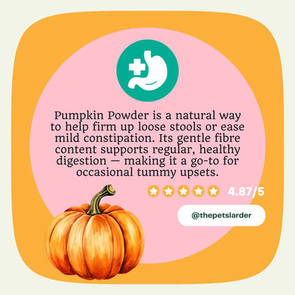 Promotional graphic for pumpkin powder with a pumpkin illustration and text on a pink and orange background.