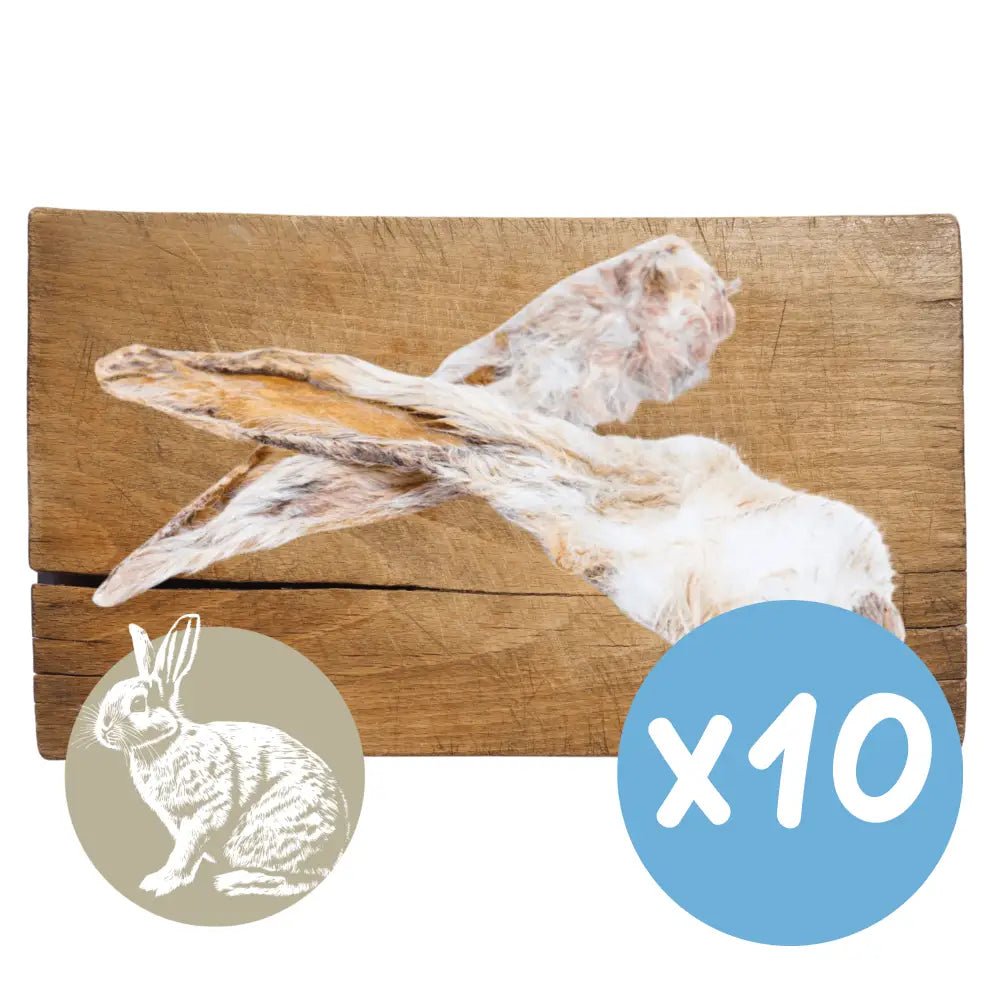 Wooden board with a rabbit design and a blue circle with 'x20' on a white background