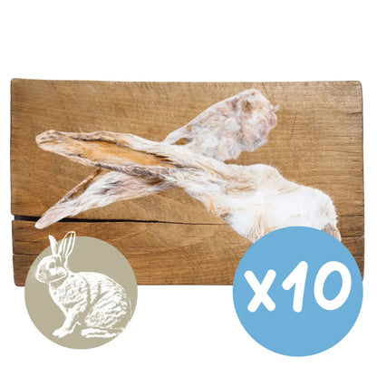 Wooden board with a rabbit design and a blue circle with 'x20' on a white background