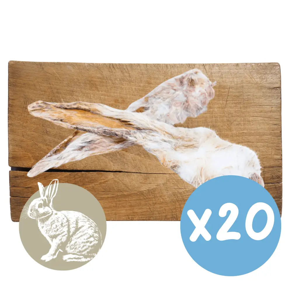 Wooden board with a rabbit design and a blue circle with 'x20' on a white background
