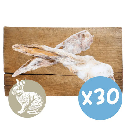 Wooden board with a rabbit design and a blue circle with 'x20' on a white background