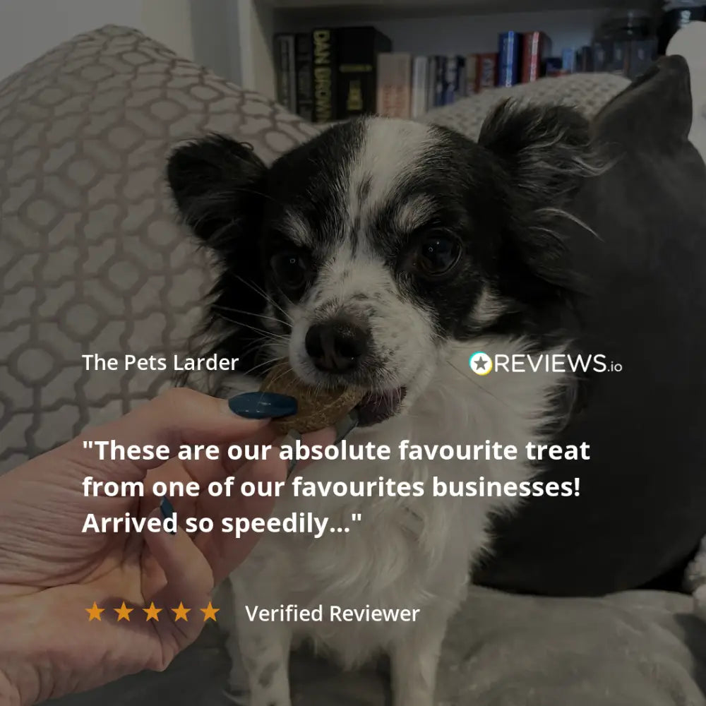 Dog being offered a treat with text overlay from The Pets Larder and REVIEWS.io