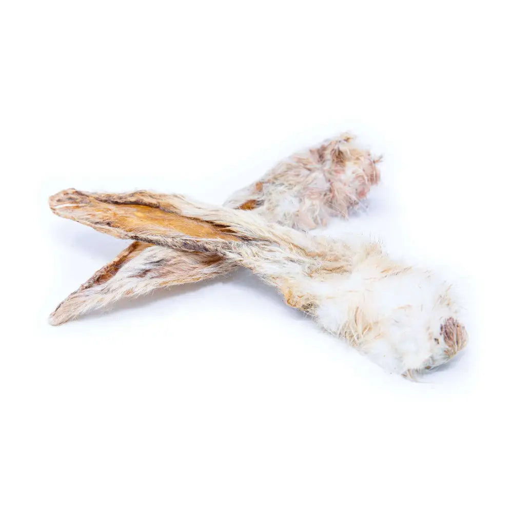 Driftwood piece on a white background