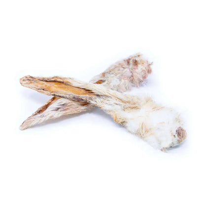 Driftwood piece on a white background