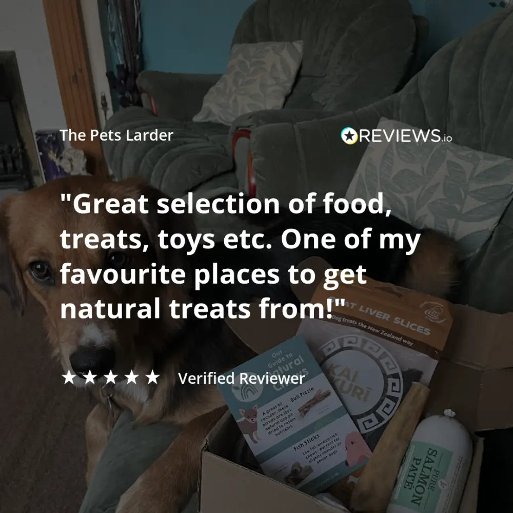 Dog with a box of pet products and a review quote on a dark overlay