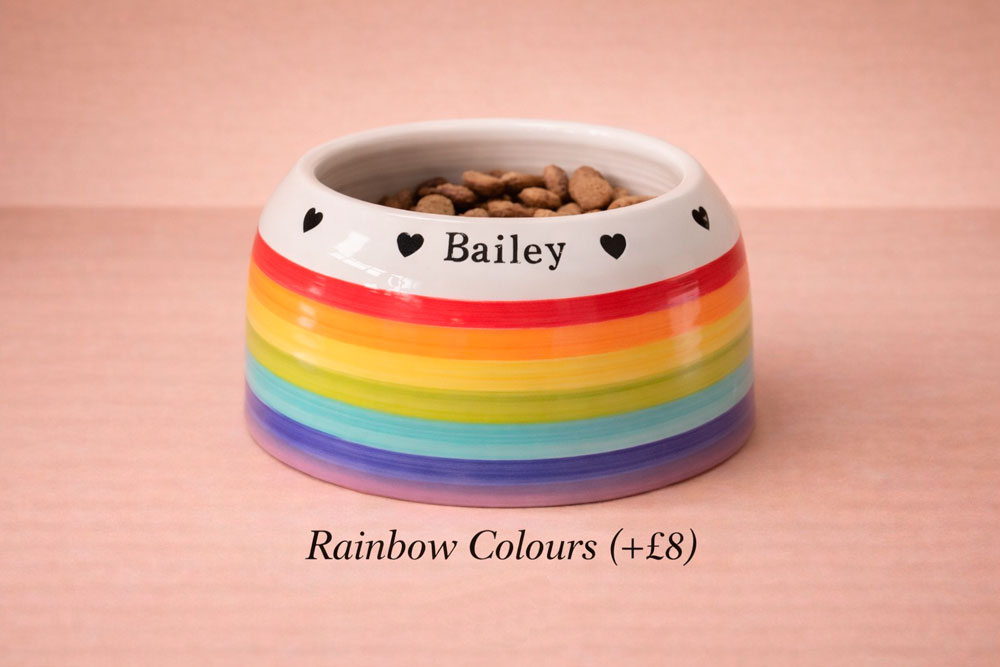 Dog bowl with rainbow stripes and 'Bailey' engraved, on a pink background