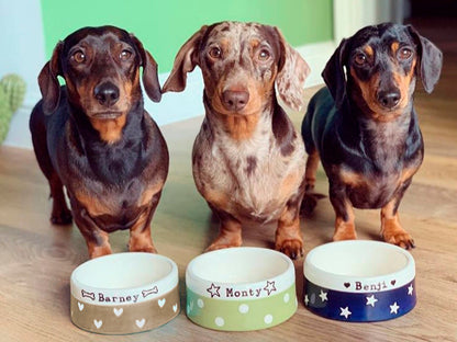 Three dachshunds standing behind three ceramic bowls with names on a wooden surface.