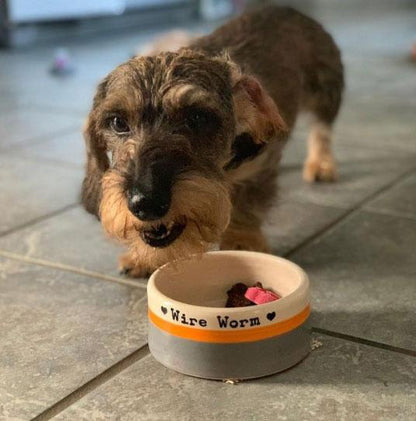 Small dog looking at a ceramic bowl with 'Wire Worm' written on it.