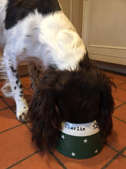 Dog interacting with a green pet bed on a tiled floor