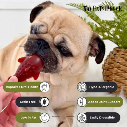 Dog chewing on a treat with health benefits listed, held by a hand.