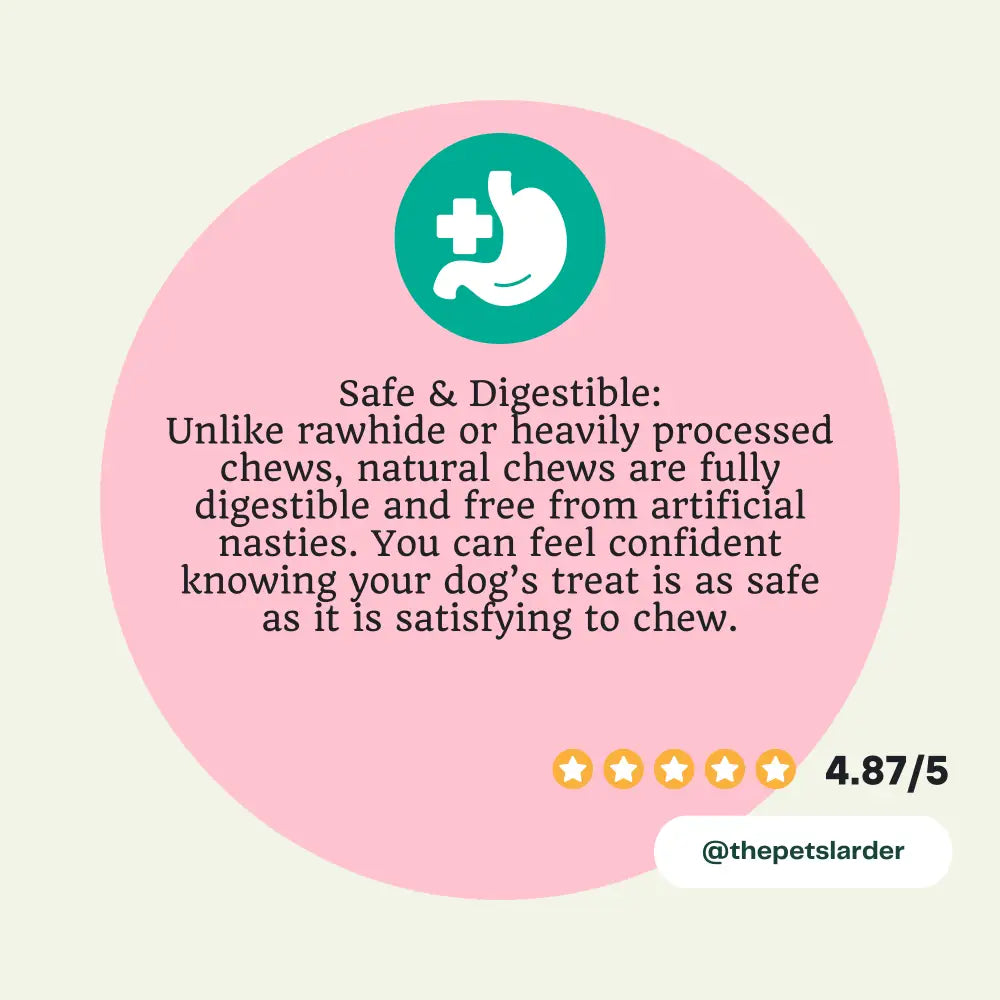 Pink speech bubble with text about safe and digestible dog treats, featuring a green icon of a stomach with a plus sign.
