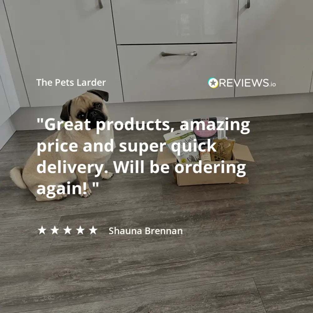 Dog sitting next to a box with a review text overlay on a wooden floor.