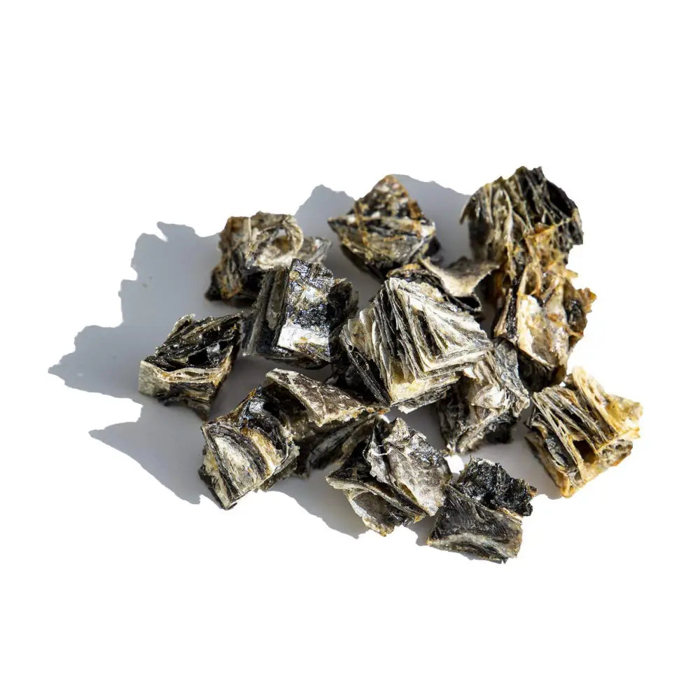 Collection of dried seaweed on a white background