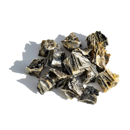 Collection of dried seaweed on a white background