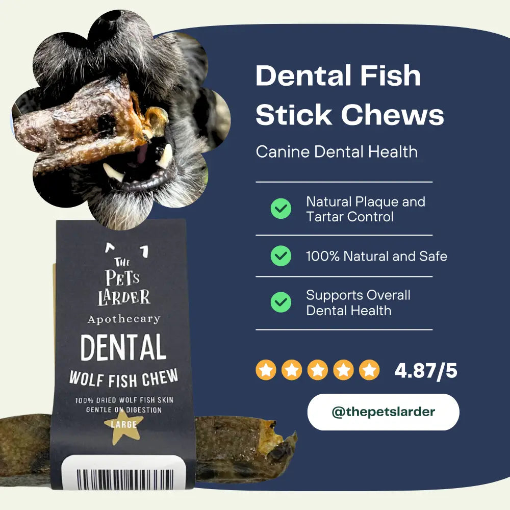 Dental Fish Stick Chews for dogs with a dog eating a chew, product packaging, and brand information on a blue background.